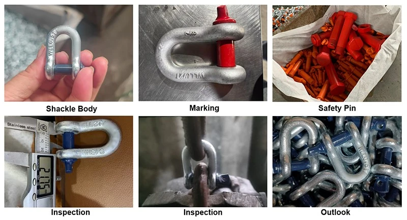 bolt type dee shackle bolt type dee shackle