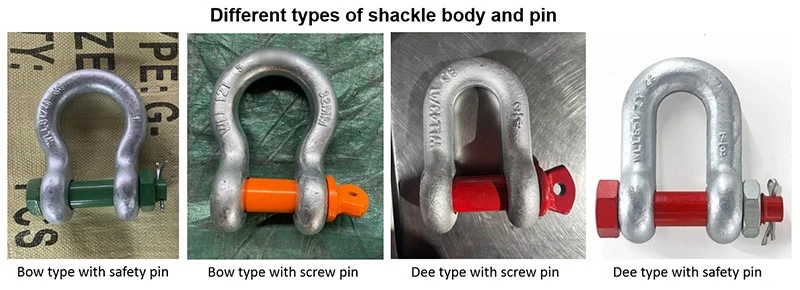 Dee type shackle Dee type shackle