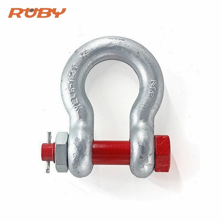 chain shackle